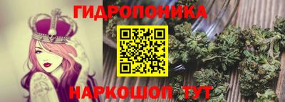 прущие крисы Кунгур