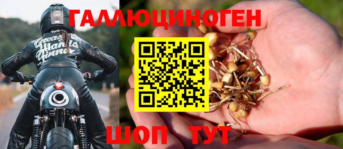 Галлюциногенные грибы Psilocybe  купить   Дербент  Вход с VPN 