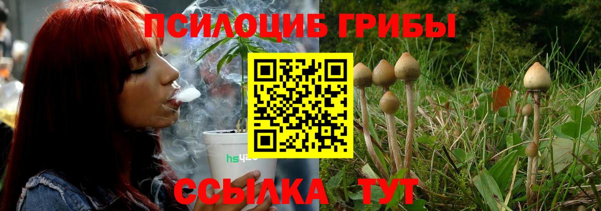 Галлюциногенные грибы Cubensis Дербент
